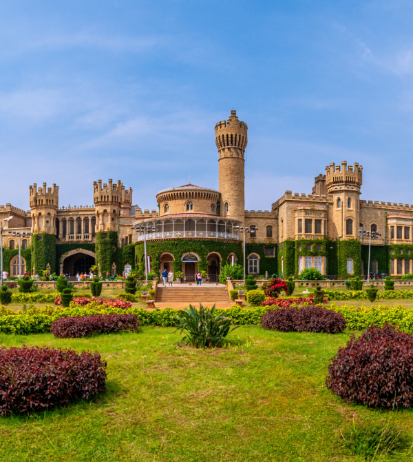 shutterstock_2450403223