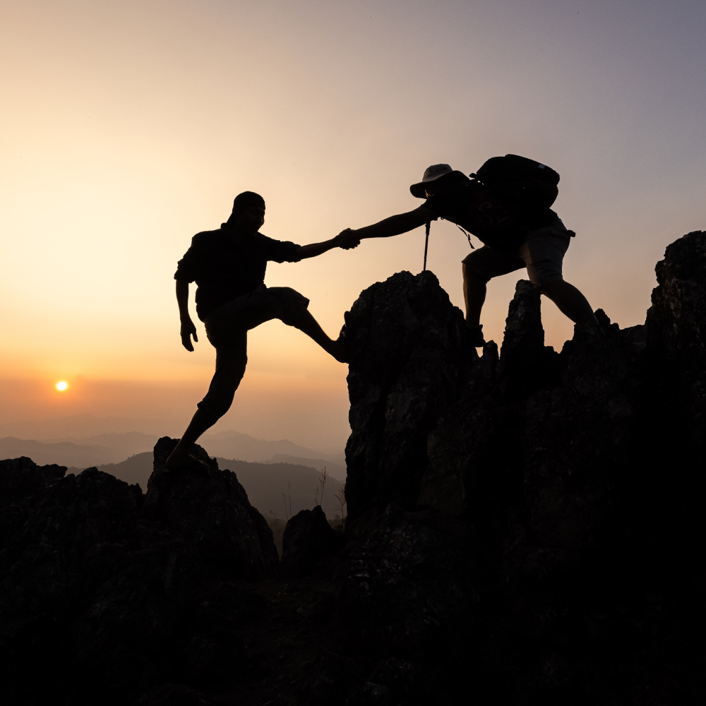 shutterstock_2431594437