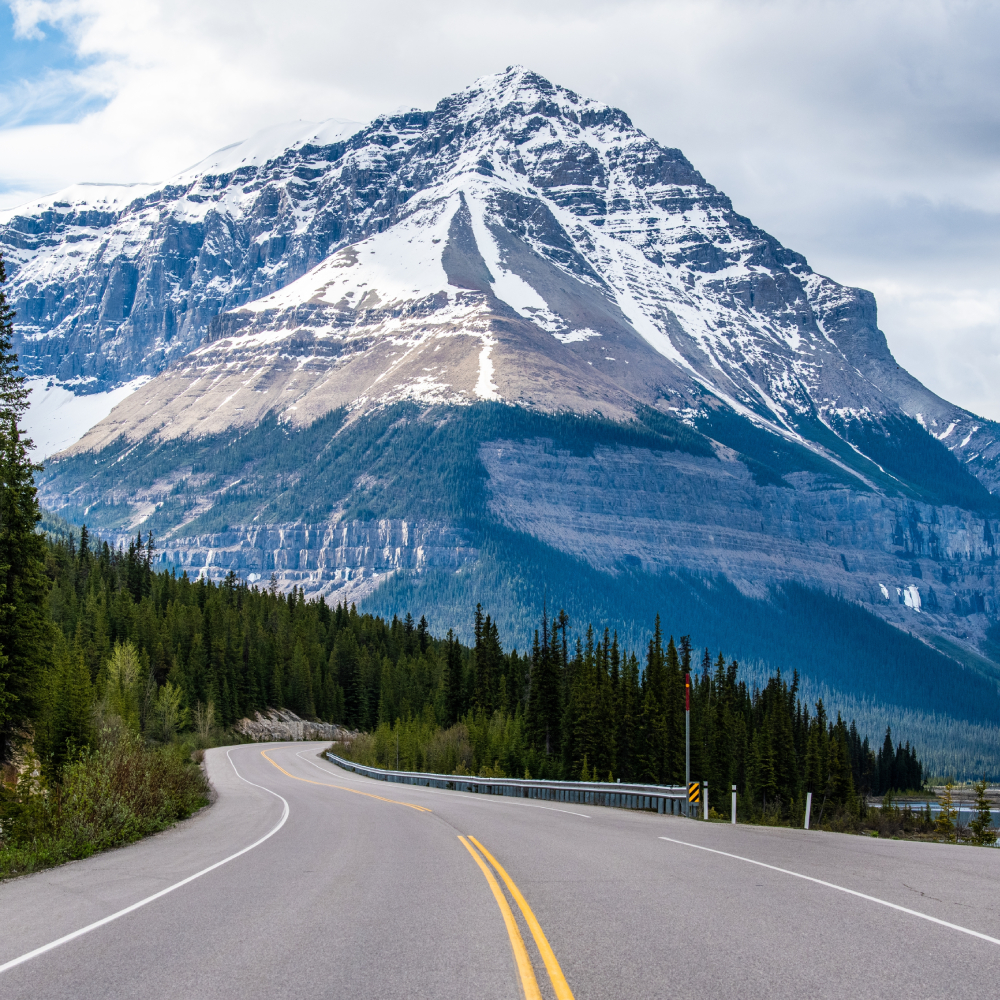 shutterstock_2481088857